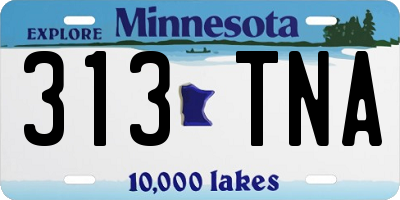 MN license plate 313TNA