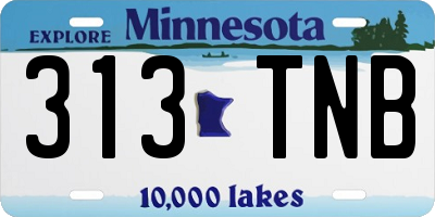 MN license plate 313TNB