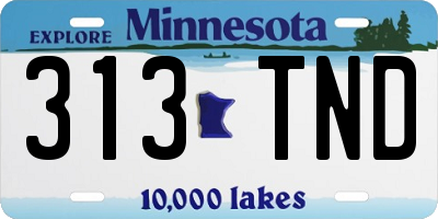 MN license plate 313TND