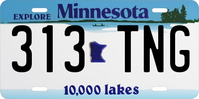 MN license plate 313TNG