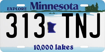 MN license plate 313TNJ