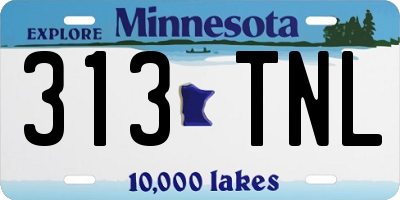 MN license plate 313TNL