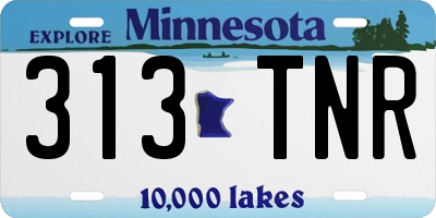 MN license plate 313TNR