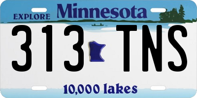 MN license plate 313TNS