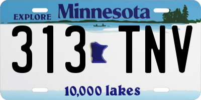 MN license plate 313TNV
