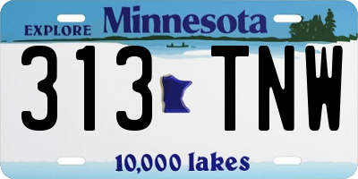 MN license plate 313TNW