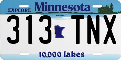 MN license plate 313TNX