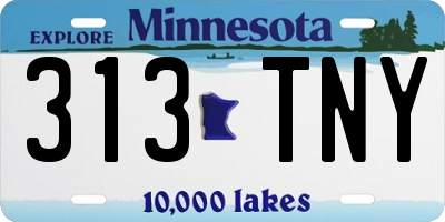 MN license plate 313TNY