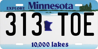 MN license plate 313TOE