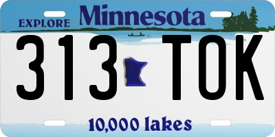 MN license plate 313TOK
