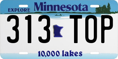 MN license plate 313TOP