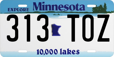MN license plate 313TOZ