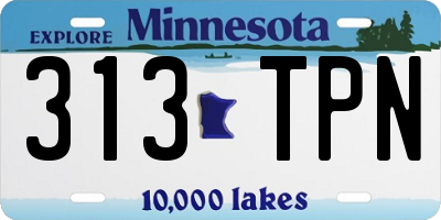 MN license plate 313TPN