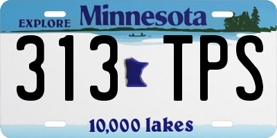 MN license plate 313TPS
