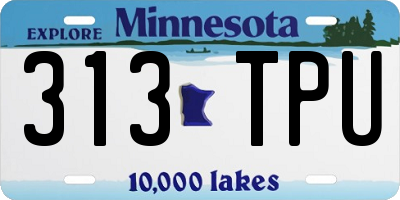 MN license plate 313TPU