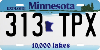 MN license plate 313TPX