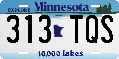 MN license plate 313TQS