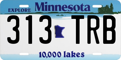 MN license plate 313TRB