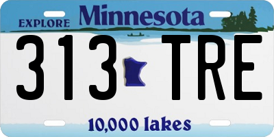 MN license plate 313TRE