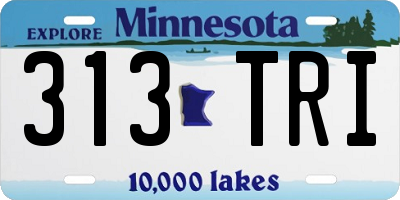 MN license plate 313TRI