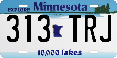MN license plate 313TRJ