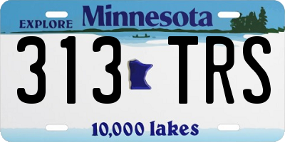 MN license plate 313TRS