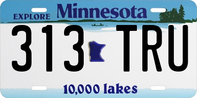 MN license plate 313TRU