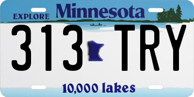 MN license plate 313TRY