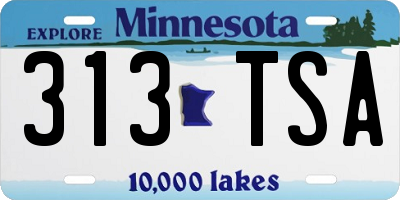 MN license plate 313TSA