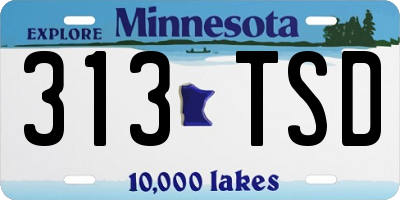 MN license plate 313TSD