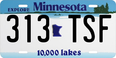 MN license plate 313TSF