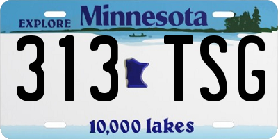 MN license plate 313TSG
