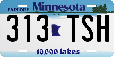 MN license plate 313TSH