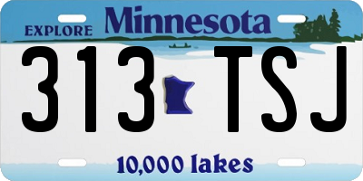 MN license plate 313TSJ