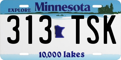 MN license plate 313TSK