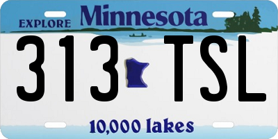MN license plate 313TSL