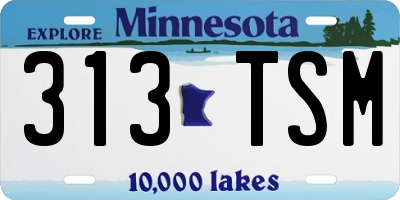 MN license plate 313TSM
