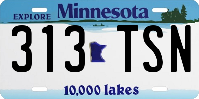 MN license plate 313TSN