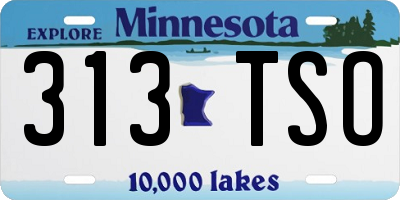 MN license plate 313TSO