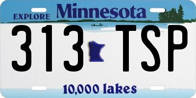 MN license plate 313TSP