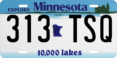 MN license plate 313TSQ
