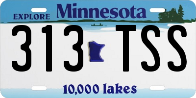 MN license plate 313TSS