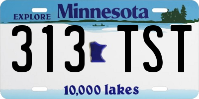 MN license plate 313TST