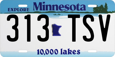 MN license plate 313TSV