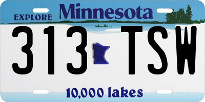 MN license plate 313TSW