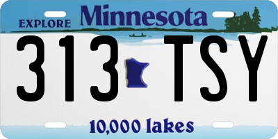 MN license plate 313TSY