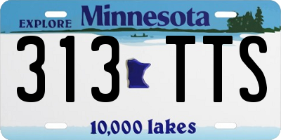 MN license plate 313TTS