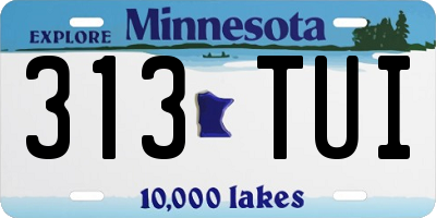 MN license plate 313TUI