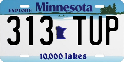 MN license plate 313TUP