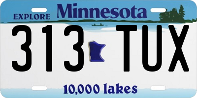 MN license plate 313TUX